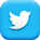 Social Media Twitter Icon